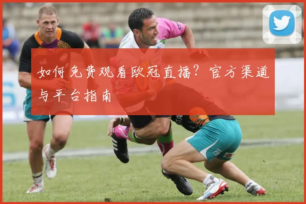 如何免费观看欧冠直播?官方渠道与平台指南