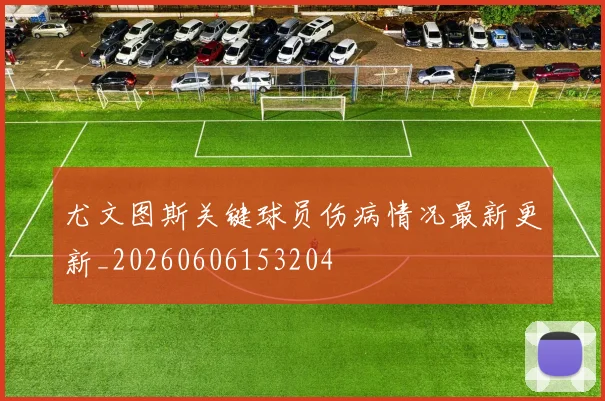 尤文图斯关键球员伤病情况最新更新_20260606153204